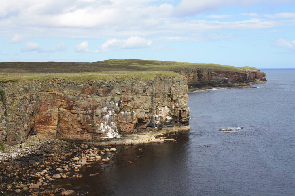 Mull Head Nature Reserve, Deerness